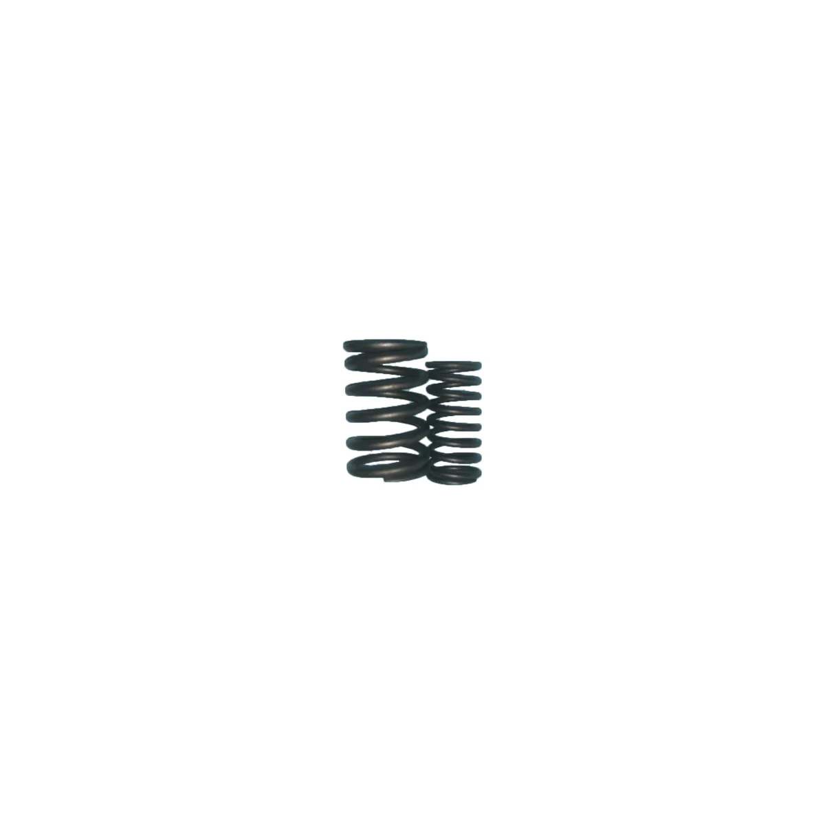 Valve spring N85-02003-1/2
